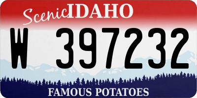 ID license plate W397232