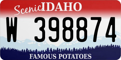 ID license plate W398874