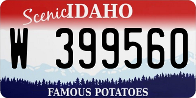 ID license plate W399560