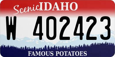 ID license plate W402423