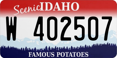 ID license plate W402507