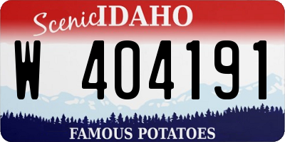 ID license plate W404191