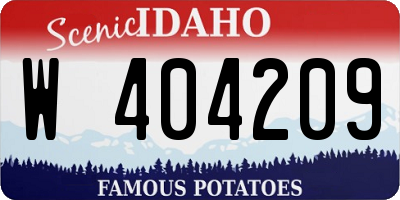 ID license plate W404209