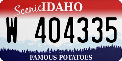 ID license plate W404335
