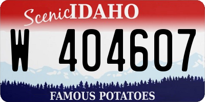 ID license plate W404607