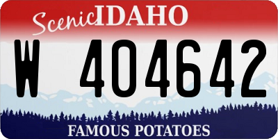 ID license plate W404642