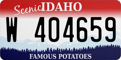 ID license plate W404659