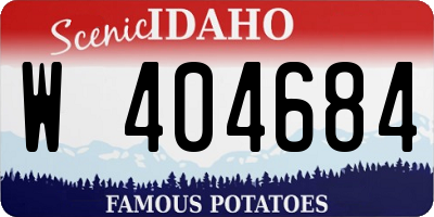 ID license plate W404684