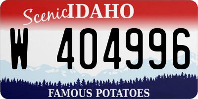 ID license plate W404996