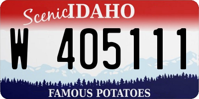 ID license plate W405111