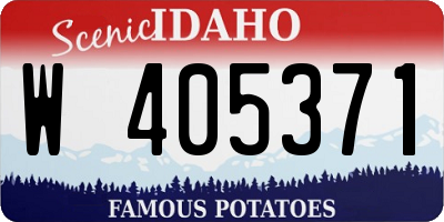 ID license plate W405371