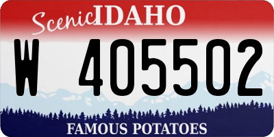 ID license plate W405502