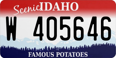 ID license plate W405646