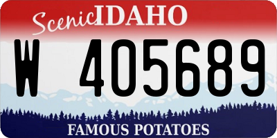 ID license plate W405689