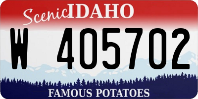ID license plate W405702