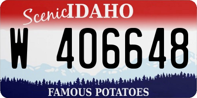 ID license plate W406648