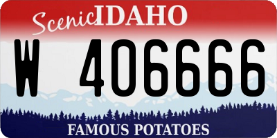 ID license plate W406666