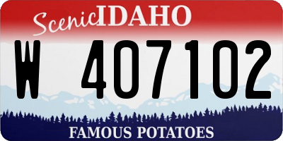 ID license plate W407102