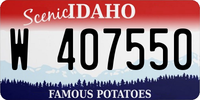 ID license plate W407550
