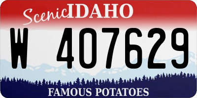 ID license plate W407629
