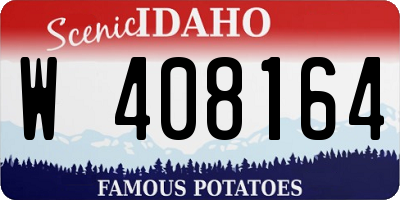 ID license plate W408164