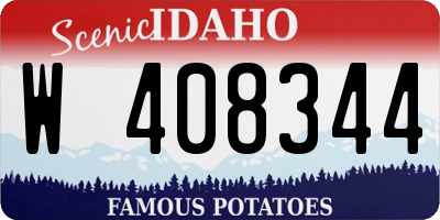 ID license plate W408344