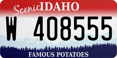 ID license plate W408555