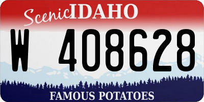 ID license plate W408628
