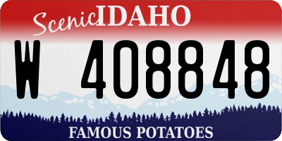 ID license plate W408848