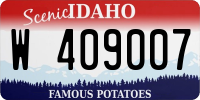 ID license plate W409007