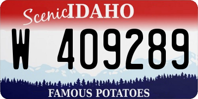 ID license plate W409289