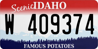 ID license plate W409374