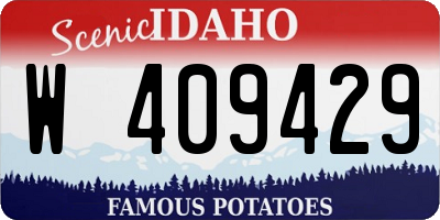 ID license plate W409429