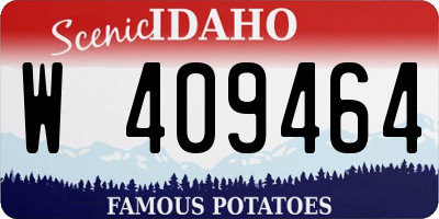 ID license plate W409464