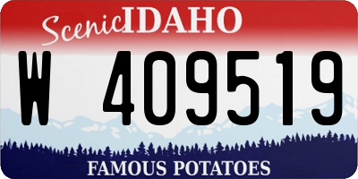 ID license plate W409519