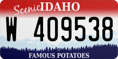 ID license plate W409538