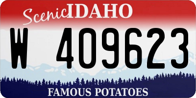 ID license plate W409623