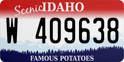 ID license plate W409638