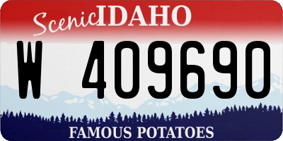 ID license plate W409690
