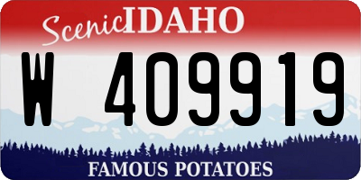 ID license plate W409919