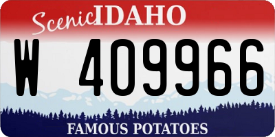 ID license plate W409966