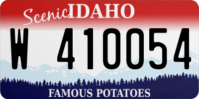 ID license plate W410054