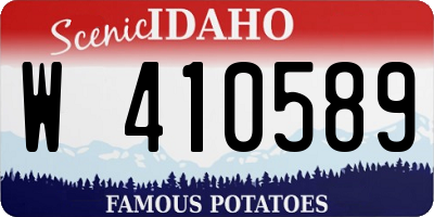 ID license plate W410589