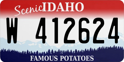 ID license plate W412624