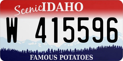 ID license plate W415596