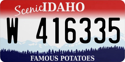 ID license plate W416335