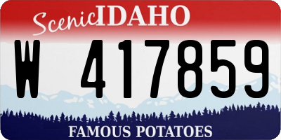 ID license plate W417859
