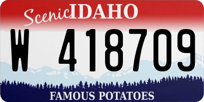 ID license plate W418709