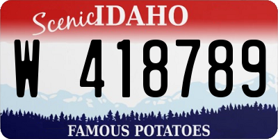 ID license plate W418789