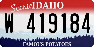 ID license plate W419184